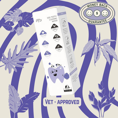 PlushMouth™ Dental+ For Softer Kisses & Fresher Breaths.
